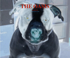 oasispits.com: Index
Breeding top quality American Pitbull Terriers.  We have both Blues and Reds, short and wide.  We have puppies and adults available for sale from time to time.  