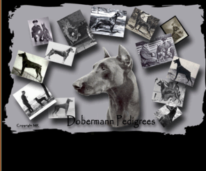 dobermann-pedigrees.com: Dobermann Pedigrees
Dobermann Pedigrees - pedigrees, pictures, articles, Dobermanns in Movie  etc.