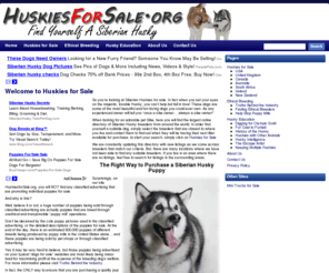 huskiesforsale.org: Siberian Huskies for Sale Online Directory - Huskies for Sale
Huskies for sale. Welcome to the Huskies for Sale Directory. Find yourself a Siberian Husky from the largest online directory of Husky breeders.