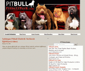 pitbullturk.com: Pitbull  
Pitbull resimleri,pitbull videoları,pitbull bilgileri ve kopekler hakkında bilgi içeren web sitesi.