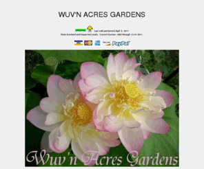 wuvie.net: 
Searching for unusual garden seeds? 
Come visit our website for a wide variety of unique, hard to find and oddball seeds.