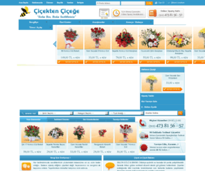 cicektencicege.com: Çiçekten Çiçeğe
Çiçek siparişlerinizi hızlı ve güvenli olarak gönderebileceğiniz 7/24 online çiçekçiniz.