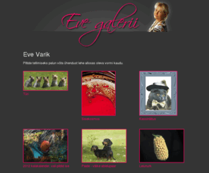 eve-varik.com: Eve Varik | Galerii
