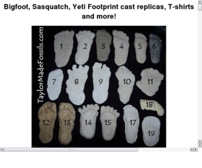 bigfootcasts.com: bigfoot casts bigfoot replicas plaster bigfoot prints patterson bigfoot film
bigfoot casts bigfoot repicas bigfoot prints plaster casts bigfoot footage patterson film grover krantz gigantopithecus skull cast sasquatch yeti