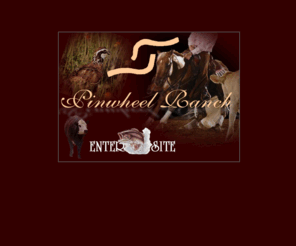 jesseslilecho.com: Pinwheel Ranch - Home of PHBA World Champion Cutting Horse
Jesses Lil Echo
