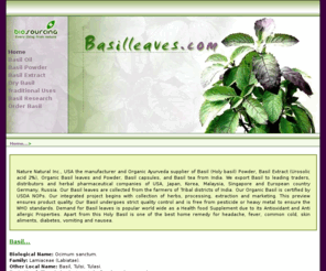 basilleaves.com: Ocimum Sanctum Seeds for sale, Buy Bulk Fresh Basil, Ocimum Sanctum oil, Basil Oil India, Basil Extract India, Basil Powder India, Basil India, Bulk Basil, Tulsi, Dry BasilBasil Leaves
We are bulk supplier of Basil (Holy basil) Powder, Basil Extract (Urosolic acid 2%), Organic Basil leaves and Powder, Basil capsules, and Basil tea from India. We export Basil to leading traders, distributors and herbal pharmaceutical companies of USA, Japan, Korea, Malaysia, Singapore and European country Germany, Russia. Our Basil leaves are collected from the farmers of Tribal districts of Orissa. Our Organic Basil is certified by SKAL Internationals. Our integrated project begins with collection of herbs, processing, extraction and marketing. This preview ensures product quality. Our Basil undergoes strict quality control and is free from pesticide or heavy metal to ensure the WHO standards. Demand for Basil leaves is popular world wide as a Health food Supplement due to its Antioxidant and Anti allergic Properties. Apart from this Holy Basil is one of the best home remedy for headache, fever, common cold, skin aliments, diabetes, vomiting and nausea. Order bulk fresh and dry Basil leaves, Basil powder, extract and oils at sales@biosourcing.com