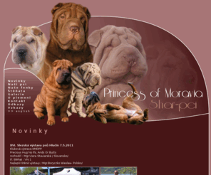 princessofmoravia.cz: PRINCESS OF MORAVIA - Sharpei kennel
