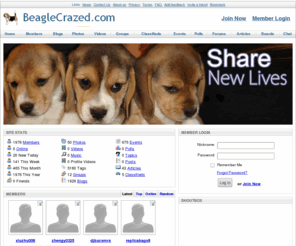 beaglecrazed.com: BeagleCrazed.com - A Beagle Community Website
