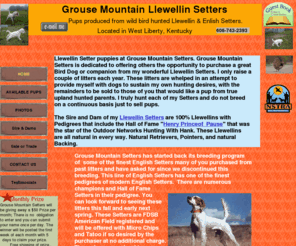 grousemountainsetters.com: Home
Llewellin Setter Puppies, Grouse Dogs, Upland dog supplies, Dog collars, Check cords, Grouse Hunting, Quail Hunting, Pheasant Hunting