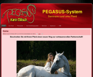 pegasus-system.com: Home
Joomla! - dynamische Portal-Engine und Content-Management-System