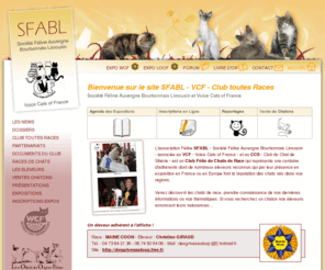 sfabl.com: SFABL - Bienvenue sur notre site Chats de Race, Société Féline Auvergne Bourbonnais Limousin : Accueil
