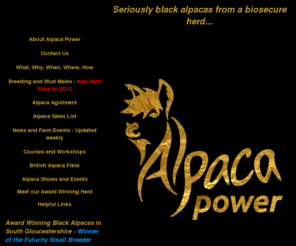 alpacapower.co.uk: Alpaca Husbandry | Alpaca Power | Breeding Alpacas/Alpaca Sales/Alpacas/Alpaca/Huacaya For Sale/Black Alpacas
Alpaca Husbandry, Breeding Alpacas, Alpaca Sales, Alpacas, Alpaca, Huacaya For Sale, Black Alpacas