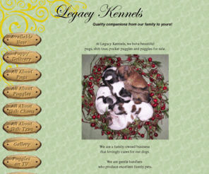 legacy-kennels.com: Legacy Kennels - Home
Puggles For Sale Pugs Puggles Shih Tzus for Sale in Minnesota Breeder in MN