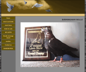 extremeindigorollers.com: MY BIRMINGHAM ROLLER WEBSITE
This site is all about the dedication to promote the hobby of the birmingham roller with speed, depth and velocity in any color.Norm Reed and James Turner foundation birds.