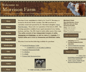 morrisonfarm.com: Morrison Farm
