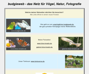 budgieweb.de: budgieweb-Vögel, Natur und mehr
Papageien, Sittiche und andere Heimvögel anschaffen und artgemäß halten. Merkblätter zum Download. Berichte und Tipps von erfahrenen Vogelhaltern.