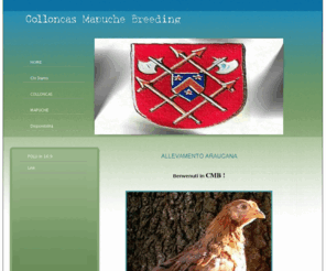 colloncas-mapuche-breeding.com: HOME
allevamento biologico galline pura razza Araucana CMB polli allo stato selvatico centro italia roma lazio uova azzurre fertili da incubare