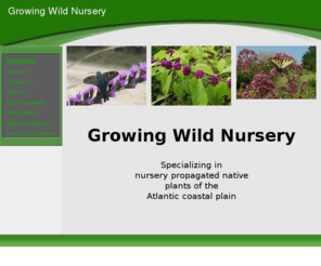 growingwildnursery.net: Growing Wild Nursery - Coastal Plain Native Plants
specializing in nursery propagated Atlantic coastal plain native plants