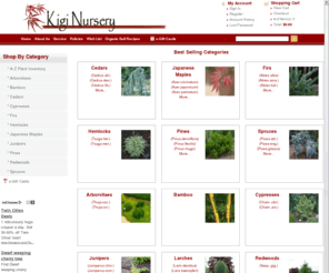 kigitrees.com: Buy Japanese Maples , Dwarf Miniature Conifers and Organic Gardening
Online Nursery offering Japanese Maples, Dwarf Miniature Conifers, Bamboo and our Moss-Art collection, promote Organic Gardening & Sustainable Lifestyle