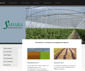 sahagroconsulting.com: Home page - Sahara Agro Consulting
Sahara agro consulting.