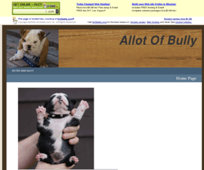 allbully.com: Home Page
Home Page