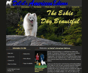 decacs.com: American Eskimo Breeders|American Eskimo Dog Breeders and American Eskimo Puppies
American Eskimo Breeders and American Eskimo Puppies. 