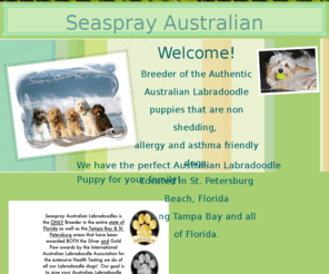 seasprayaustralianlabradoodles.com: 
