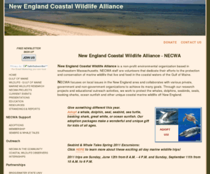 necwa.org: NECWA - New England Coastal Wildlife Alliance Home Page
NECWA is a not profit organization dedicated to studying, education and helping stranded wildlife found on and off New Englands coast