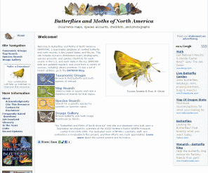 butterfliesandmoths.org: Welcome! | Butterflies and Moths of North America
