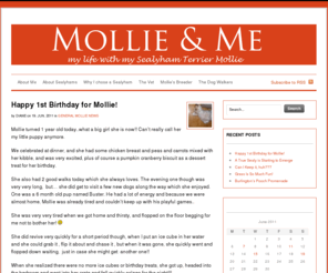 mollieandme.com: Mollie & Me | my life with Mollie, the Sealyham Terrier
Mollie the Sealyham Terrier and her life with me - a blog from Burlington, Ontario