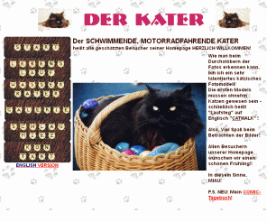 der-kater.de: Der schwimmende Kater
