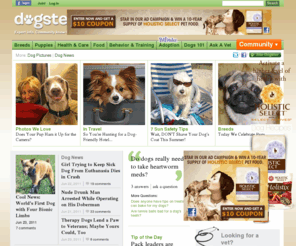 dogster.com: Dogs | Dogster
For Dog's Best Friends! Dogster, is a must for any dog enthusiast! Breed info, adoption, food, health, dog advice and a vibrant community.