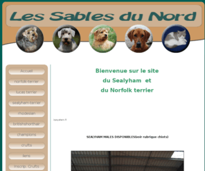 le-sealyham.com: Le-sealyham.com
Les sables du nord