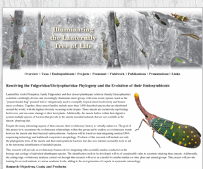 planthopper.com: Illuminating the Lanternfly Tree of Life
Fulgoridae Phylogeny and Endosymbionts