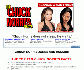 thechucknorrisfacts.com: THE CHUCK NORRIS FACTS - TOP 100 CHUCK NORRIS JOKES
