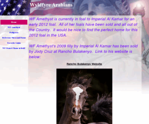 wyldfyrearabians.com: Wyldfyre Arabians
Egyptian Arabian Horses