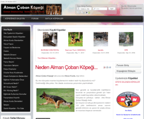 almankurdu.tk: Alman Çoban Köpeği Alman Kurdu German Shepherd Dog Deutsche Schäferhunde - Alman Çoban Köpeği Alman Kurdu German Shepherd Dog Deutsche Schäferhunde
Alman Çoban Köpeği Alman Kurdu German Shepherd Dog Deutsche Schäferhunde, GSD Breeders, GSD Kennels & GSD Trainers of Turkey