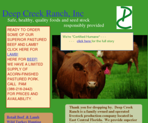 deepcreekranch.us: Home
Business