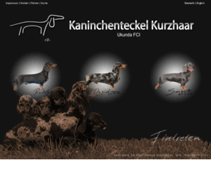 kaninchenteckel-kurzhaar.com: Startseite: Kaninchenteckel Kurzhaar Zucht (Ukunda FCI)
Dies sind die Internetseiten der erfolgreichen Kaninchenteckel Kurzhaar Züchterin Helga Seine. (auch Kaninchendackel Kurzhaar oder Kaninchendachshund Kurzhaar genannt).