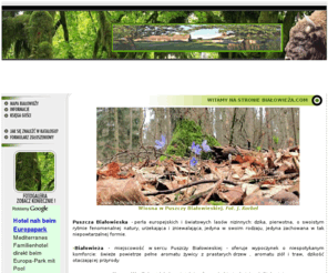 bialowieza.com: Bialowieza.Com - Informacje Turystyczne okolic Białowieży
Białowieża i okolice zapraszjš Państwa do wypoczynku w perle Europy - Puszczy Białowieskiej.