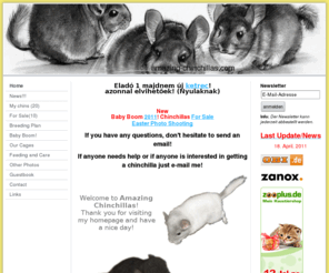 amazing-chinchillas.com: amazing-chinchillas.com - amazing-chinchillas.com
Blue Diamond chinchilla, csincsilla