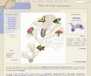 Tolweb.org: Tree Of Life Web Project