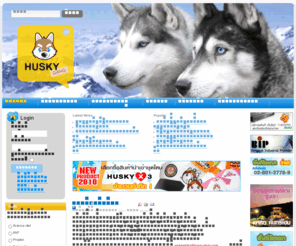 thaipetjournal.com: :: Husky Gang ::
Siberian husky ไซบีเรี่ยน ฮัสกี้ ชุมชน ผู้เลี้ยง สุนัข ไซบีเรี่ยน ฮัสกี้ Huskygang Huskyx3