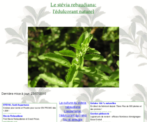 aromatiques.net: Gireaud: le stevia rebaudiana
Le stevia rebaudiana