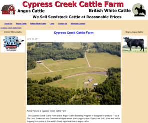 cypresscreekcattlefarm.com: Cypress Creek Cattle Farm
The Cypress Creek Cattle Farm Black Angus Cattle Breeding Program produces Top of The Line Seedstock and Commercial replacement blac angus cattle.