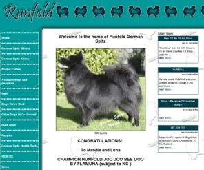 runfoldspitz.co.uk: Runfold German Spitz - UK breeder of quality puppies. Show winning dogs at stud.
Runfold German Spitz,  UK breeder of charming little versatile dogs that come in a variety of colours. Winning dogs at stud, puppies sometimes available to approved homes.