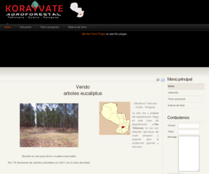 agroforestalpy.com: Venta de madera aserrada de eucapiltus
Madera de eucalipto - Venta de eucaliptus grandis y leña de eucaliptus en Paraguay