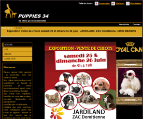 Site de rencontre ado musicien image 3