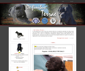 definibusterrae.net: www.definibusterrae.net - del Dott. Evangelista Leuzzi - www.canecorsosalento.it -
