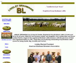 lindleybrahmans.com: Lindley Brahmans
